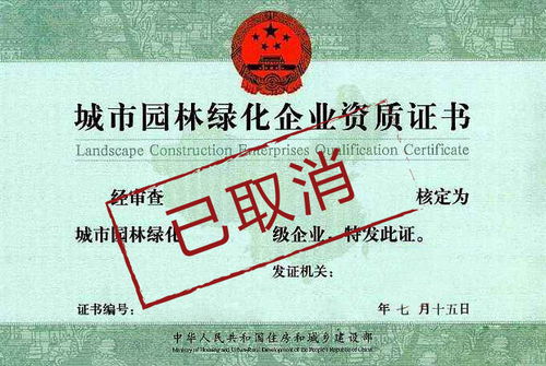資質取消潮來襲 建筑企業生存挑戰與招投標代理服務轉型之路
